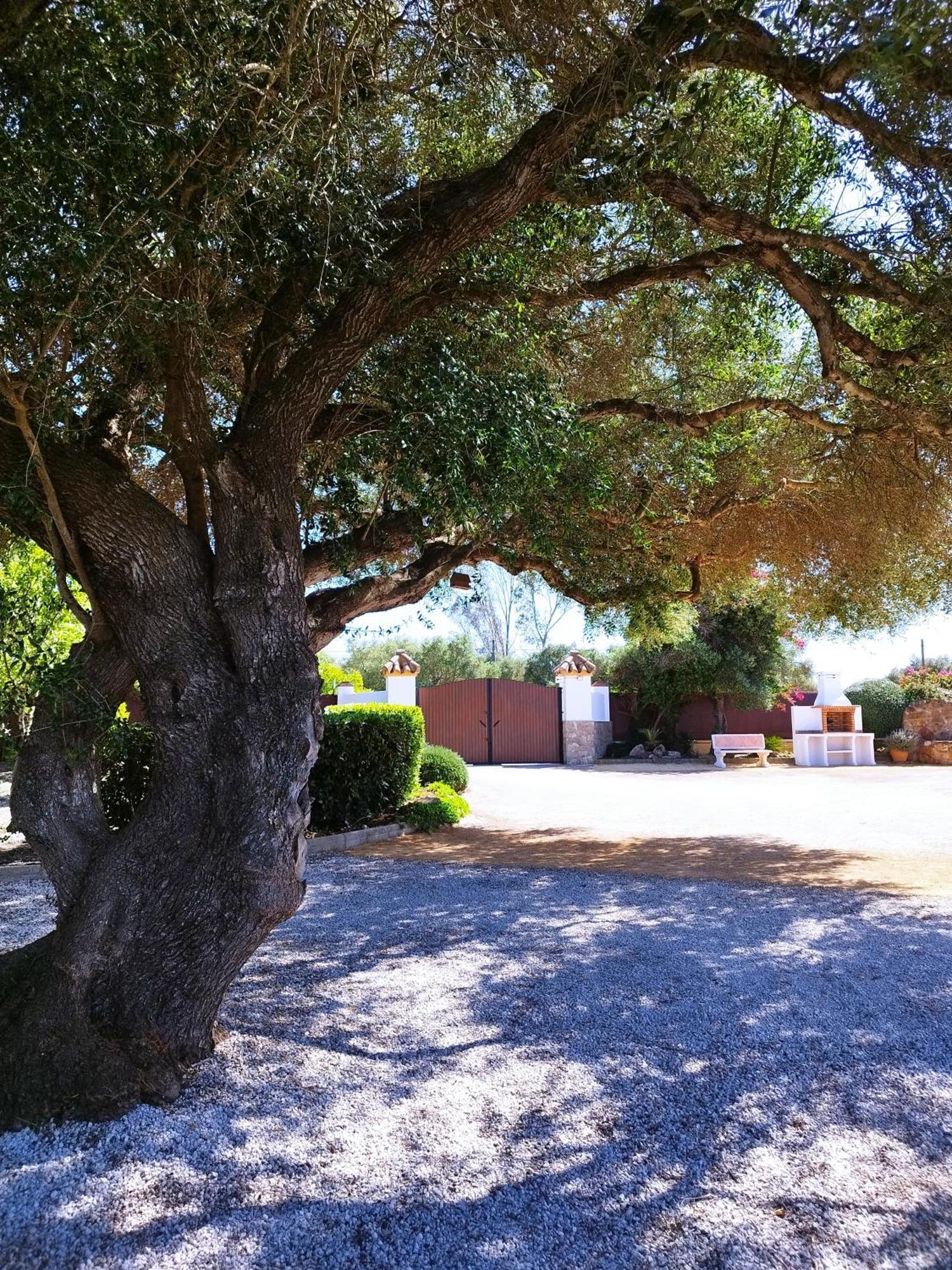 Vivienda Rural Los Madronos Malcocinado  외부 사진
