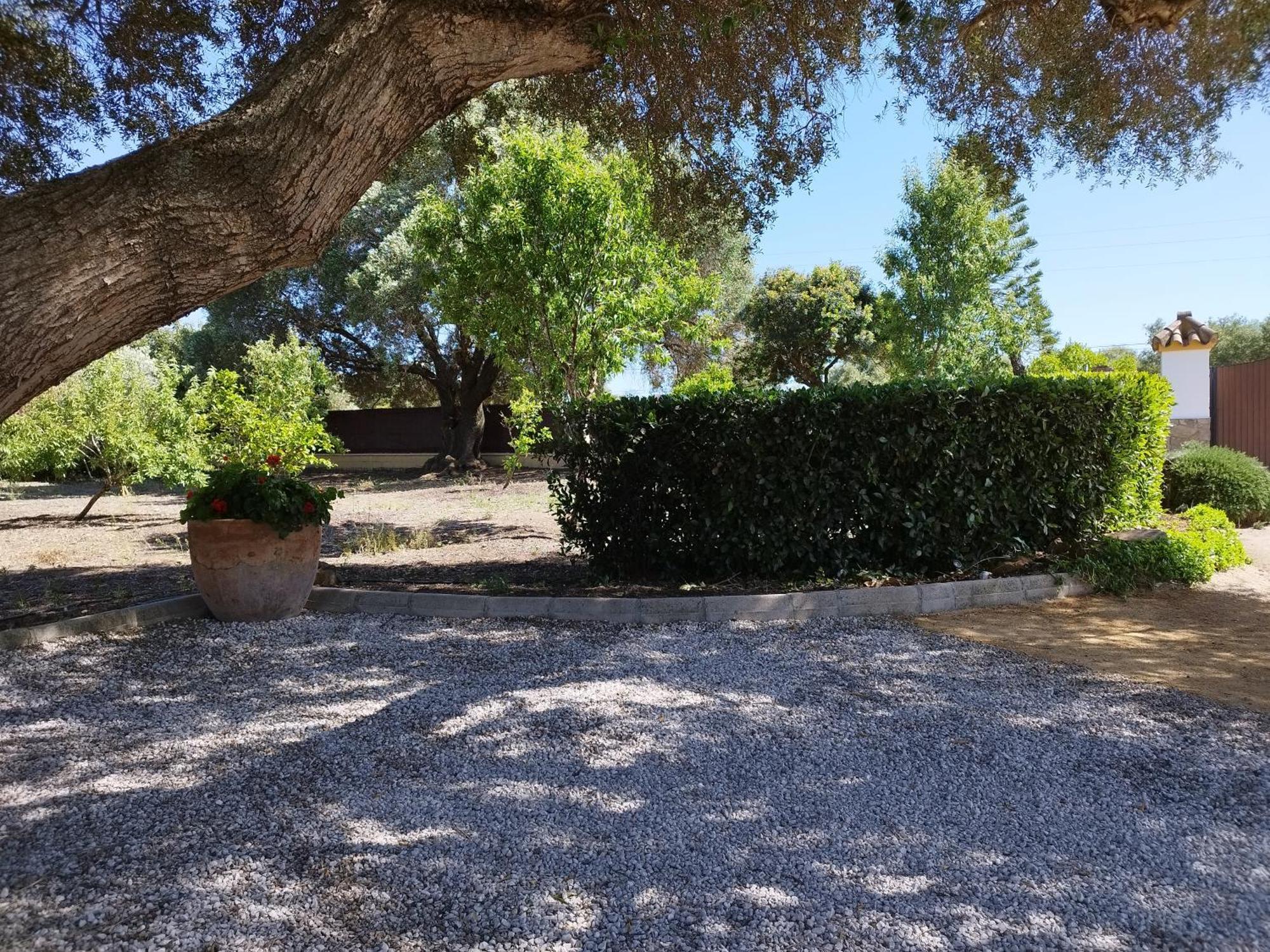 Vivienda Rural Los Madronos Malcocinado  외부 사진